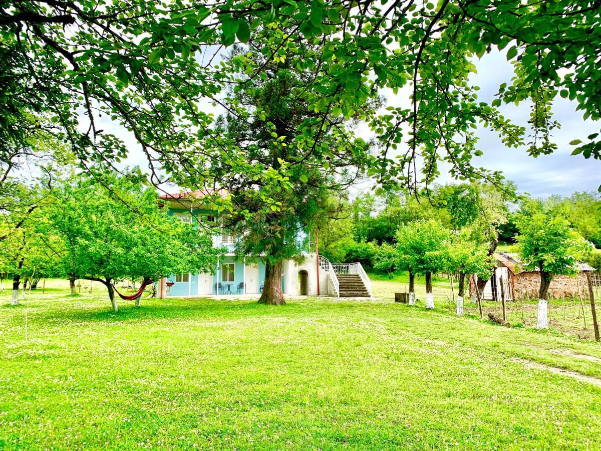 Martv'Elle Boutique Guesthouse 马尔特维利 外观 照片